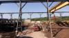 In Alabama, Two Rivers Lumber gets more investment