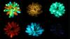 Chinese scientists create multicolored glow-in-the-dark succulents that recharge in sunlight" target="_self" data-before-rewrite-localise="/planet-earth/plants/chinese-scientists-create-multicolored-glow-in-the-dark-succulents-that-recharge-in-sunlight