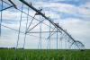 Agriculture land market remains resilient amid economic uncertainty