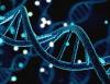 Houston Methodist study reveals how strep bacterium causes infection
