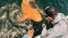 Jaws-dropping: One-of-a-kind orange shark discovered off Costa Rica