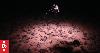 The Metals Company pushes ahead with deep sea mining plans in Pacific waters