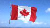 Y Media Foreign Policy Report: Small Canadian businesses hit hard as U.S. ends duty-free shipping rule
