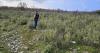 Albania plans to end hunting ban after 10 years