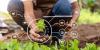 AgriTech: Firm plants climate-smart seeds for higher yields
