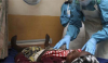 NCDC reports drop in Lassa fever cases, increase in fatality rate