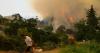 Climate change made deadly wildfires in Turkey, Greece and Cyprus more fierce, study...
