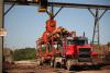 Alabama company gets $180,000 grant for planned $115M sawmill