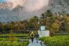 Oman: South Batinah sees surge in licensed tourism facilities