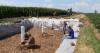 Bioreactors reduce phosphorus from agricultural drainage water