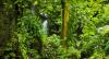 InterContinental Dominica Cabrits Resort & Spa announces tailored visitor experience for World Creole Music Festival 2025