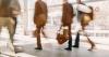 Foreign workers fill Albania’s labour gaps