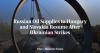 Russian Oil Supplies to Hungary and Slovakia Resume After Ukrainian Strikes