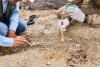 Discovery in Uzbekistan Reveals Early Steps Toward Agriculture 9,200 Years Ago