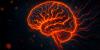 Scientists link immune markers to mental health symptoms in children with chronic illness