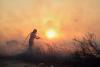 Climate change intensified wildfire weather in Greece, Türkiye and Cyprus: Study