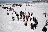 US spies stoked separatism in Greenland, Denmark says