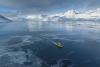 Analysis: White House brushes off Denmark’s concerns over Greenland influence operations