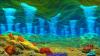 “Scientists Call Discovery Staggering”: Massive Hydrogen-Rich Hydrothermal System Found 100x Larger As Nations Race To Exploit Untapped Energy Reserves