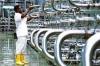 Cameroon Needs 5.5% Annual Growth to Achieve 2035 Industrialization Goals