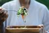 Food Safety Alert For New York Salad Fans