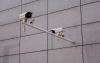 NYPD Falsely Arrests Black Man Based On Faulty Facial Recognition Technology, Activist Groups Want Investigation