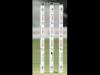 Barbados, Leeward, T&T continue winning ways