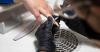 Finland allows nail salons to use up stocks of toxic substance