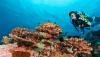 Explained: What Is Last-Chance Tourism And How To Do It Mindfully
