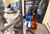 Music to their fuzzy ears: shelter animals soothed by the sound of strings