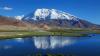 Chinese, Tajik scientists unite to protect plateau wildlife