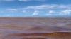 Seaweed Crisis Prompts Emergency Grant for Belize