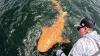 ‘My God, what is this?’ Fishermen pulled in an orange shark off Costa Rica
