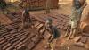 African agriculture must reckon with child labour