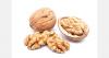 Chilean walnut exports increased by 15% driven by demand from Europe and the Middle East