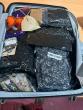 Gambian–American Arrested at Banjul Airport With Large Quantity of Suspected Cannabis