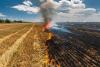 Spain requests EU aid after wildfires