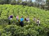 St. John's Dunn among Kansas students in Taiwan agricultural youth exchange