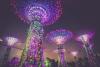 Finovate Global Singapore: Investments in Open Banking, Payments, and the Blockchain