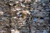 Plastic pollution poses growing health threat as Malaysia eyes Extended Producer Responsibility law
