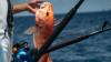 Alabama anglers hook more opportunities with expanded snapper season