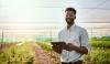 Revolutionizing Ghana’s Agriculture: Why a Year-Round Regional Strategy Is the Way Forward