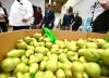 Contra Costa food bank, other nonprofits struggle under Trump policies