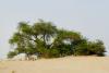 15 Spots You Need To Check Out on Your First Visit To Bahrain