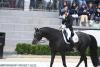 Wow! Belgium win their first-ever gold medal at the European Dressage Championships thanks to new superstars