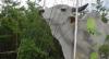 14 Brazilian meatpacking plants to be audited by Mexican authorities next month