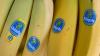 A-peeling news for banana workers as Chiquita operations to resume in Panama