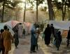Panel concerned at treatment of Afghan refugees