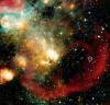 Science Jerusalem Post 'Where Did We Come From?': Challenging the classic Darwinian approach