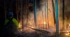 Multiple human-caused fires contained near Tok along Alaska Highway